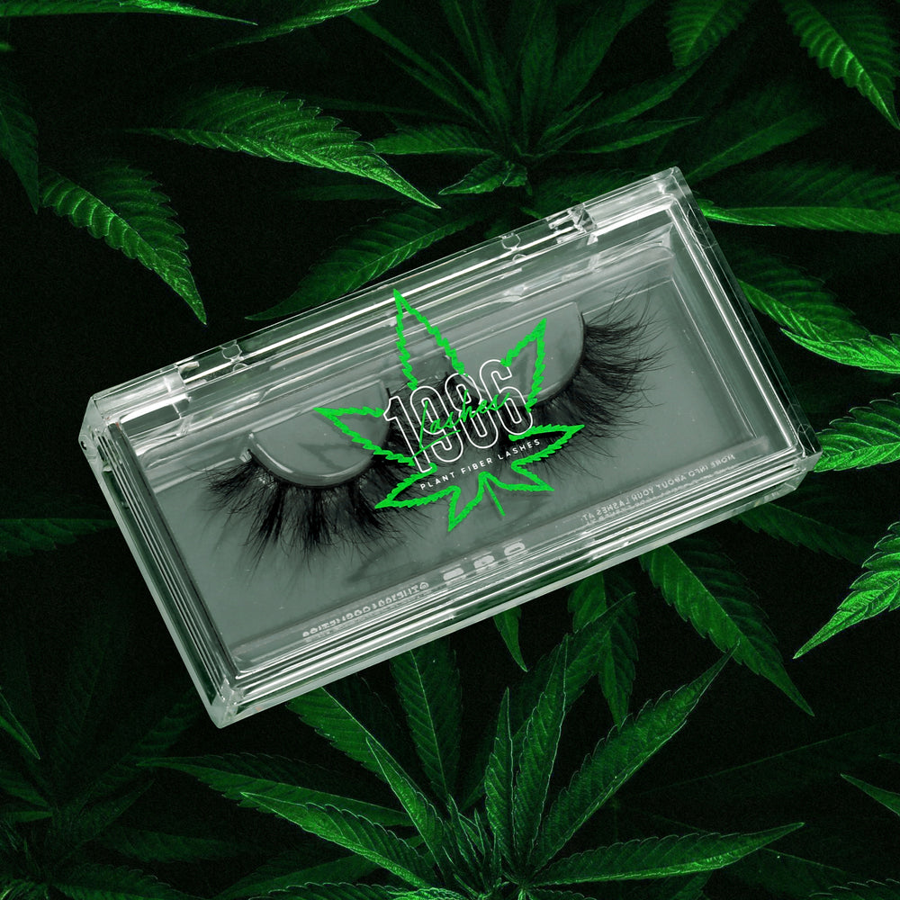 
                  
                    GANJA 🌱
                  
                