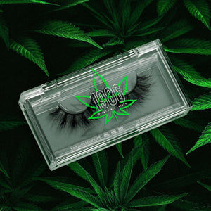 
                  
                    GANJA 🌱
                  
                